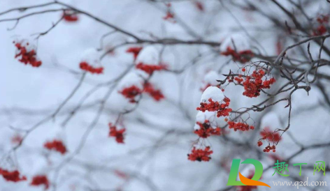 2020年农历立冬是哪一天(2020年什么时候立冬农历) 2020年农历立冬是哪一天(2020年什么时候立冬农历)