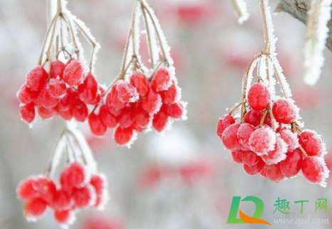 2020年霜降几点几分(2020霜降是几月几日星期几) 2020年霜降几点几分(2020霜降是几月几日星期几)