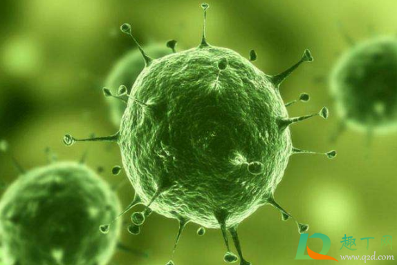 新冠病毒在青少年中传播率比幼童高是真的吗(新冠病毒青少年死亡率)