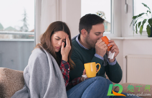 气虚怎么调理(男人气虚怎么调理)