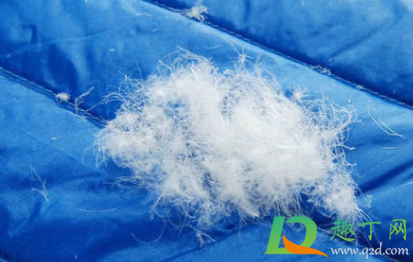 黑色羽绒服起霉点怎么洗掉(羽绒服上有发霉的黑点干洗时能处理)