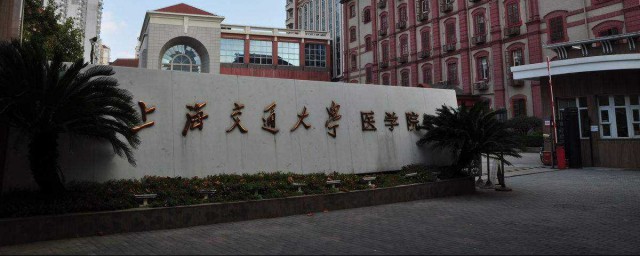 大学简介(大学简历表格 个人简历)