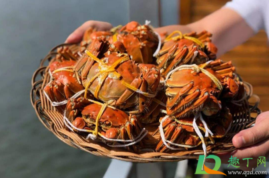 大闸蟹壳颜色深的好还是浅的好(大闸蟹什么颜色的更好)