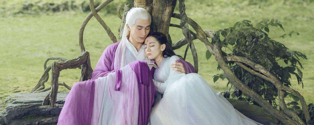 男女主角色简介信息(男主角演员表)