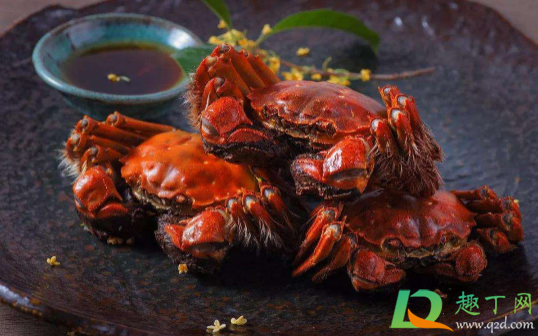 螃蟹隔夜放冰箱冷冻里再蒸可以吃吗(蒸熟的螃蟹放冰箱一夜还能吃吗) 螃蟹隔夜放冰箱冷冻里再蒸可以吃吗(蒸熟的螃蟹放冰箱一夜还能吃吗)