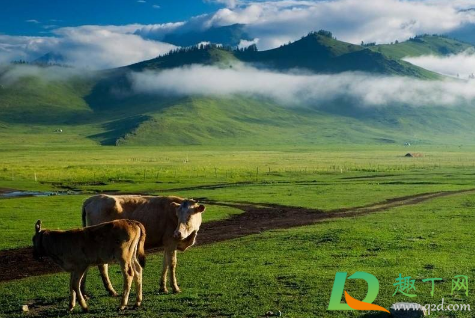 新疆小区现在能随意进出吗(新疆乌鲁木齐现在能不能进去)