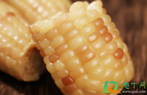 真空玉米冷冻还是冷藏保存(玉米保鲜还是冷冻) 真空玉米冷冻还是冷藏保存(玉米保鲜还是冷冻)