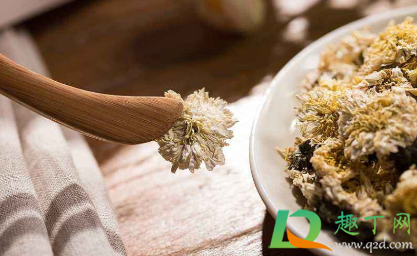 菊花茶泡了变绿能喝吗(菊花茶泡的发绿了还能喝吗) 菊花茶泡了变绿能喝吗(菊花茶泡的发绿了还能喝吗)