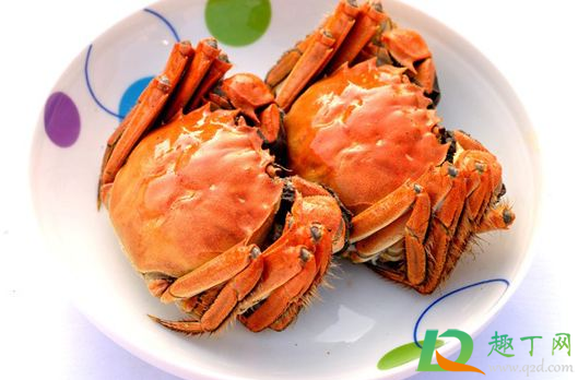 螃蟹壳硬好还是软好(螃蟹壳硬吗)