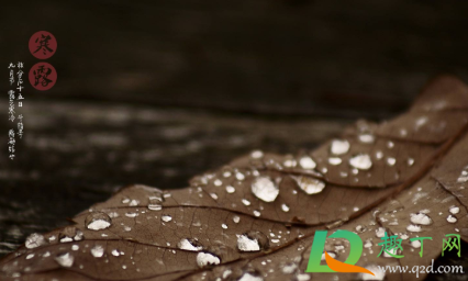 2020年寒露温度大约是多少(今年寒露是几月几号) 2020年寒露温度大约是多少(今年寒露是几月几号)