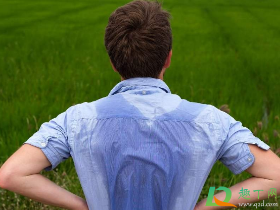 出汗太多是什么原因造成的(男士出汗太多是什么原因造成的) 出汗太多是什么原因造成的(男士出汗太多是什么原因造成的)