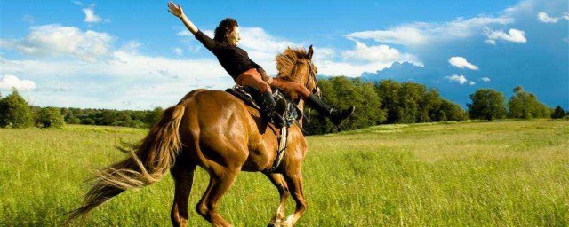 骑马技巧盘点(骑马的技巧和注意事项)