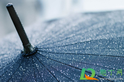 雨伞上的黑色霉斑怎么洗掉(雨伞起黑斑点怎么去除)