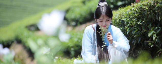 芸汐传剧情简介(芸汐传剧情介绍(1-48全集_)