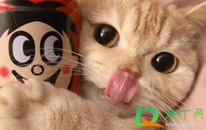 猫藓药浴多久泡一次效果最好(猫藓要药浴几次)