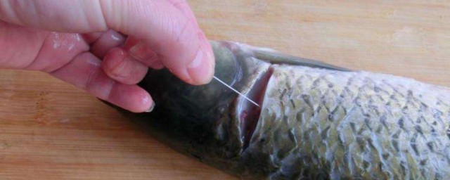 鱼腥线是什么(鱼腥线是什么东西)