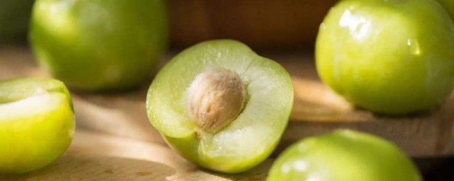 有什么药用作用(刺猬的肉有什么药用作用)