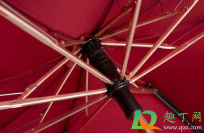 雨伞上的黑色霉斑怎么洗掉(雨伞起黑斑点怎么去除)