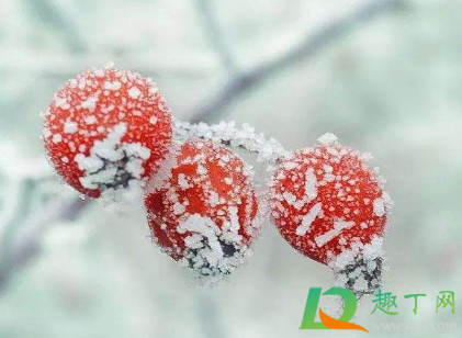 寒露节气会下霜吗2020(寒露节气会下雨吗)