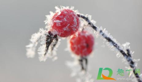 2020年霜降几点几分(2020霜降是几月几日星期几) 2020年霜降几点几分(2020霜降是几月几日星期几)