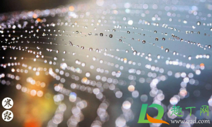 寒露节气会下霜吗2020(寒露节气会下雨吗)