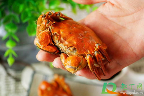 螃蟹蒸好要闷一会吗(螃蟹蒸好闷多久) 螃蟹蒸好要闷一会吗(螃蟹蒸好闷多久)