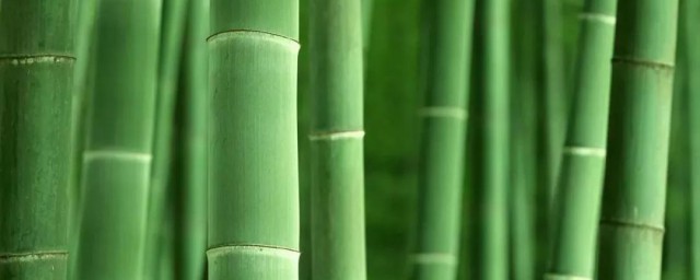 什么样的竹子品种才适合做笛子(什么竹子做笛子音色最好)