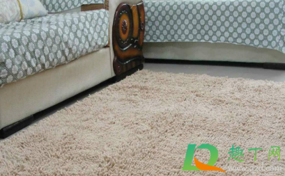 漂白水可以洗地毯吗(什么样的地毯可以用水洗)