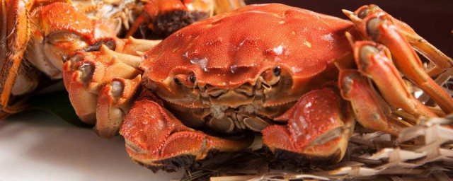 北方螃蟹过冬方法(北方河蟹如何过冬)