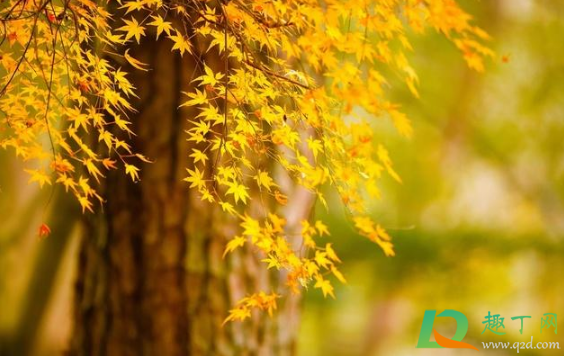 2020年秋分会下雨吗(2020春节会下雨吗)