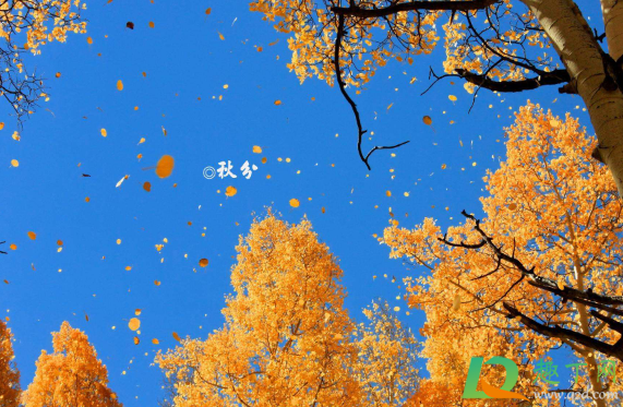 秋分下雨有什么征兆(秋天下雨的前兆)