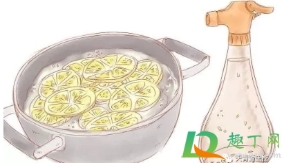 家有小跳虫怎样处理(家里跳虫怎么产生的家里有跳虫怎么清理) 家有小跳虫怎样处理(家里跳虫怎么产生的家里有跳虫怎么清理)