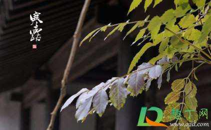 2020年寒露温度大约是多少(今年寒露是几月几号) 2020年寒露温度大约是多少(今年寒露是几月几号)