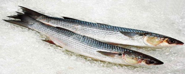 一招就上钩(有没有上钩)