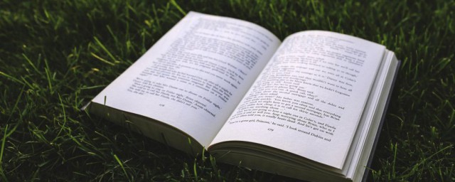 炸鸡和啤酒解释(为什么说炸鸡配啤酒)