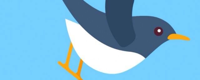 鸟的简介(世界最小的蜂鸟的简介)