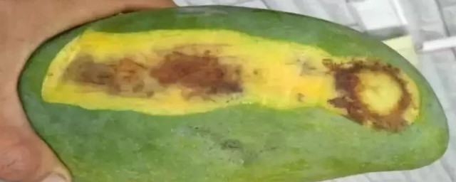 芒果里面有白色虫子的原因(大芒果里面有白色虫子)