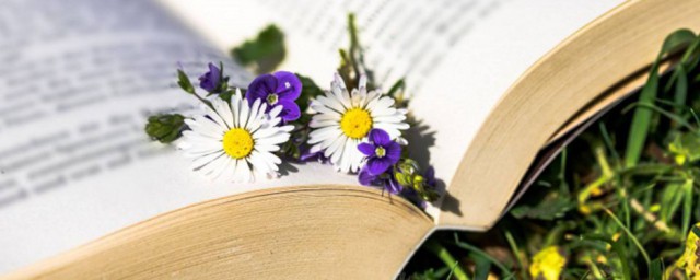 TMI解释(tmi是什么)