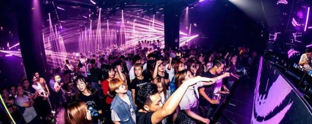 小蜜蜂介绍(小蜜蜂介绍50字)