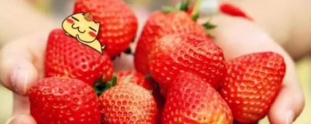 草莓怎么清洗(草莓怎么清洗给宝宝吃)
