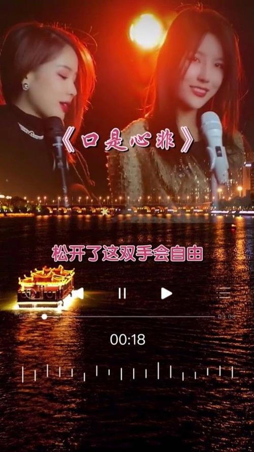 口是心非抖音版谁唱的，口是心非翻(口是心非歌曲抖音)