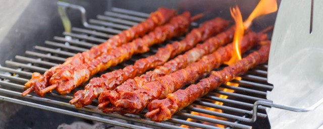 烧烤食材的介绍(烧烤主要材料)