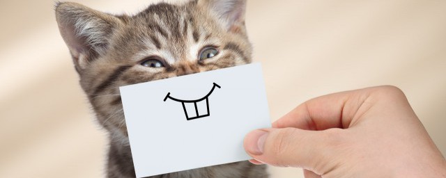 我是你爸爸解释(我是你爸爸啥意思)