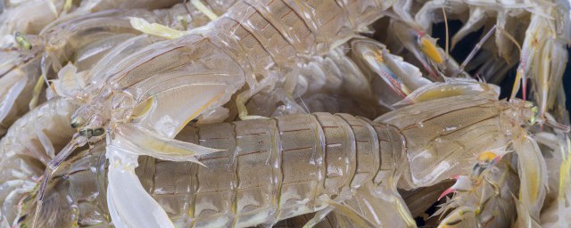 皮皮虾冷冻后能不能吃(生皮皮虾冷冻后能吃吗)