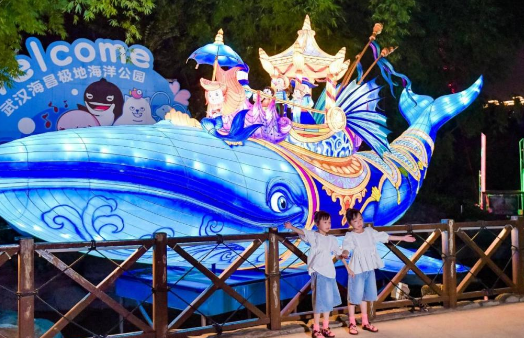 武汉海昌极地海洋世界夜场魔术哪个好看(上海海昌极地海洋世界夜场)