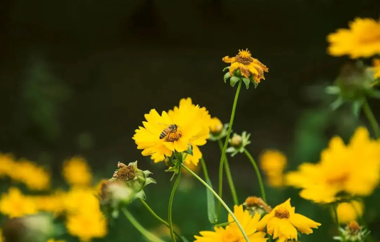 2022年6月有几个星期零几天(2022年六月一日是星期几) 2022年6月有几个星期零几天(2022年六月一日是星期几)