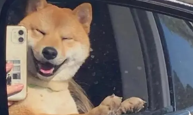 修勾是什么意思(郭语) 修勾是什么意思(郭语)