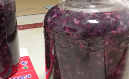 自酿葡萄酒中毒多久发作(自制葡萄酒喝中毒多久才有反应) 自酿葡萄酒中毒多久发作(自制葡萄酒喝中毒多久才有反应)