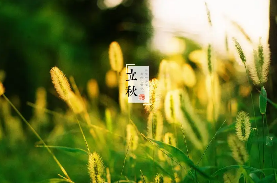 大暑节气到立秋节气中间还热吗(大暑节气过后是什么节气) 大暑节气到立秋节气中间还热吗(大暑节气过后是什么节气)