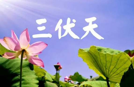 2022年三伏天热不热(2021年三伏天末伏还热吗)